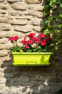 Bloembak relax 60x20h16 lime|ohgreen Clearance