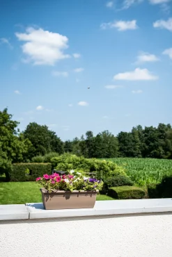 Bloembak relax 50x20h16 taupe|ohgreen Clearance