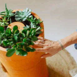 Bloemen composter 2 lagen|ohgreen Outlet