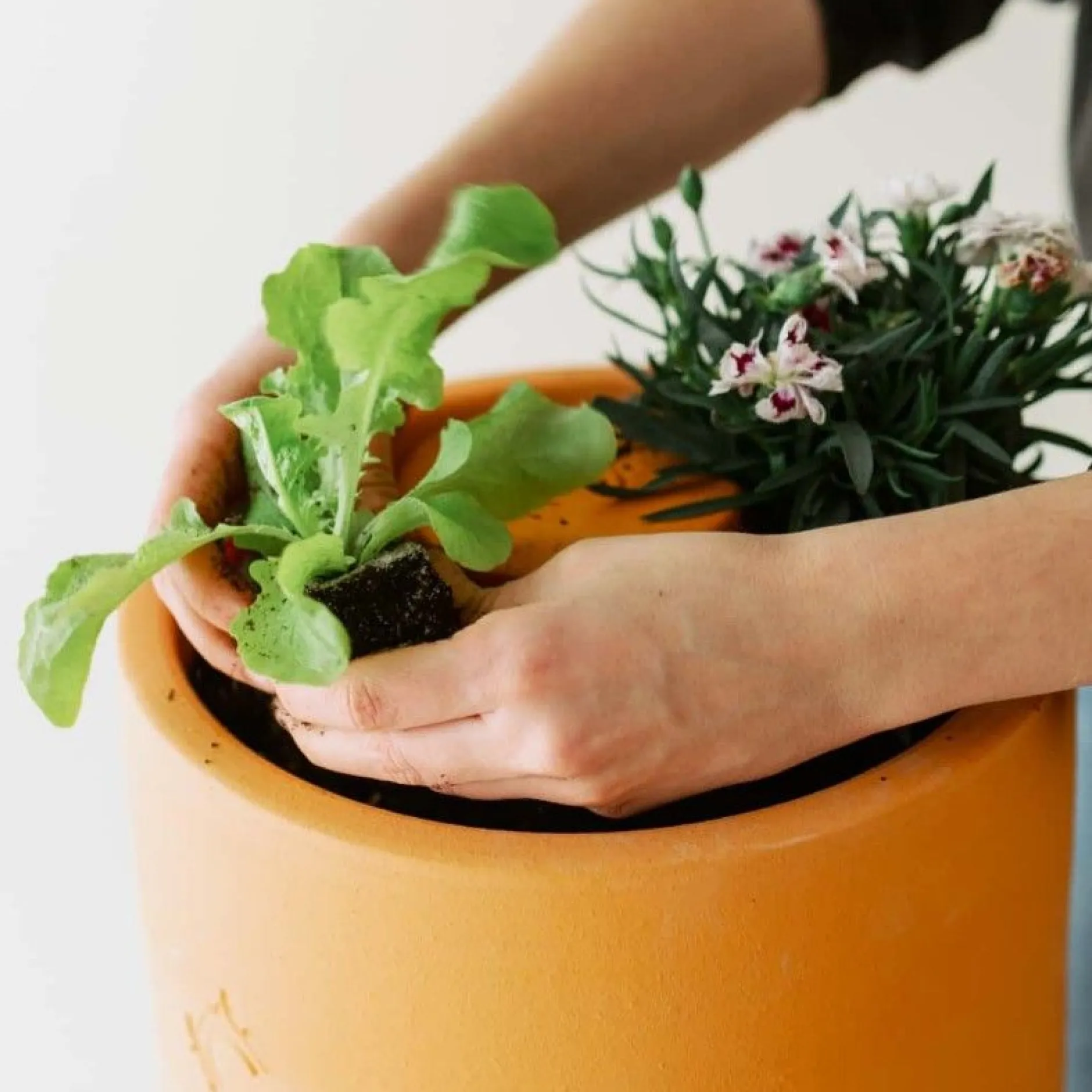 Bloemen composter 2 lagen|ohgreen Outlet