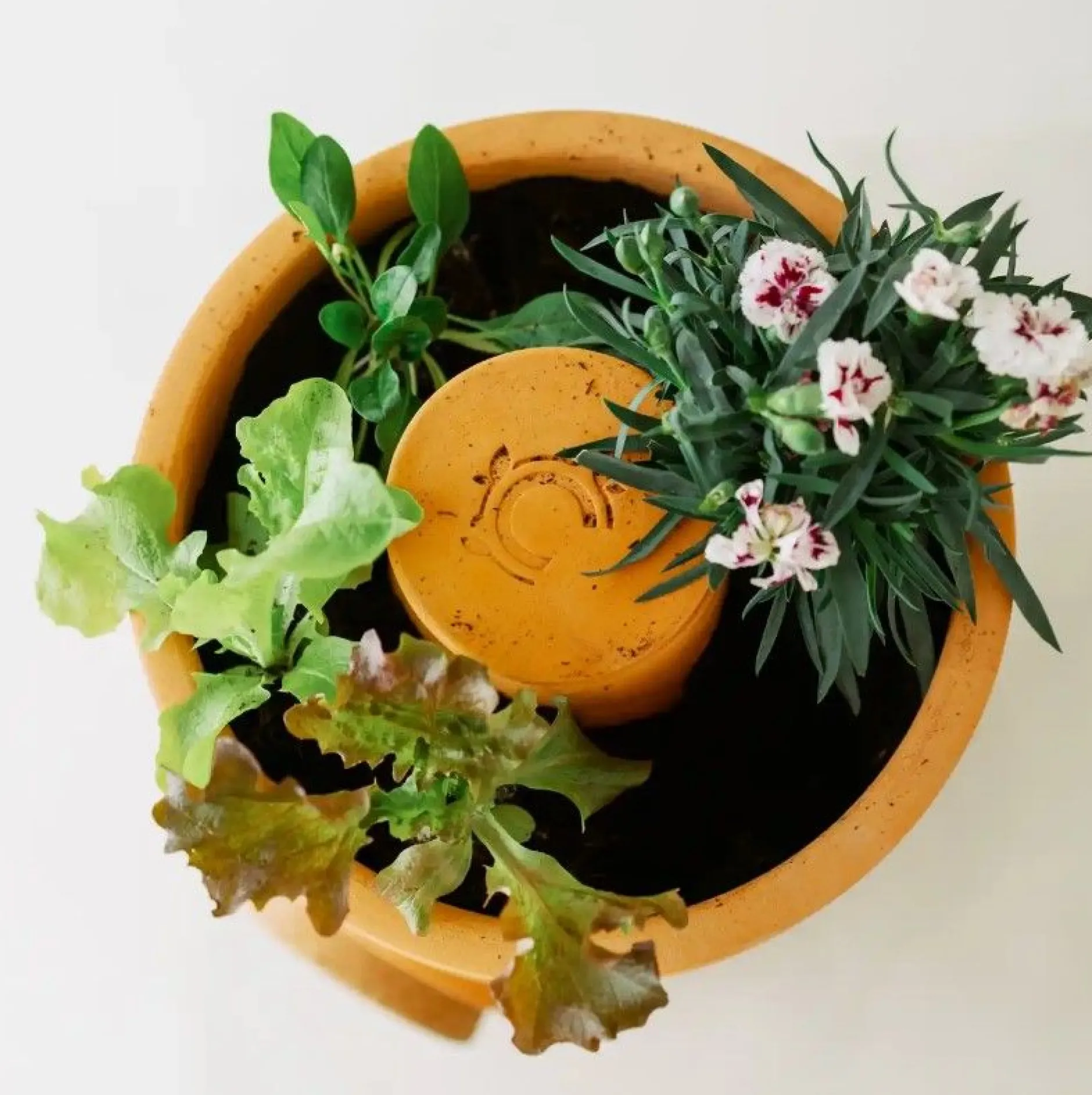 Bloemen composter 2 lagen|ohgreen Outlet