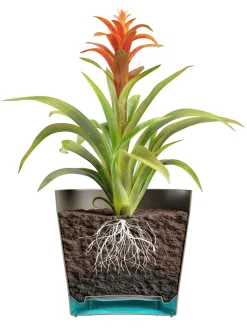 Bloempot Orione 24cm wolkwit|ohgreen Outlet