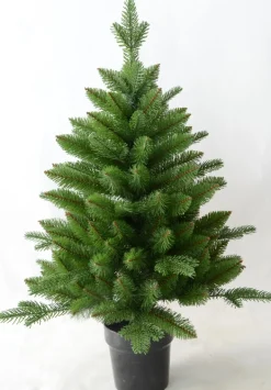 Boom in pot 60 x 90cm|ohgreen