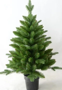 Boom in pot 46 x 60cm|ohgreen Hot