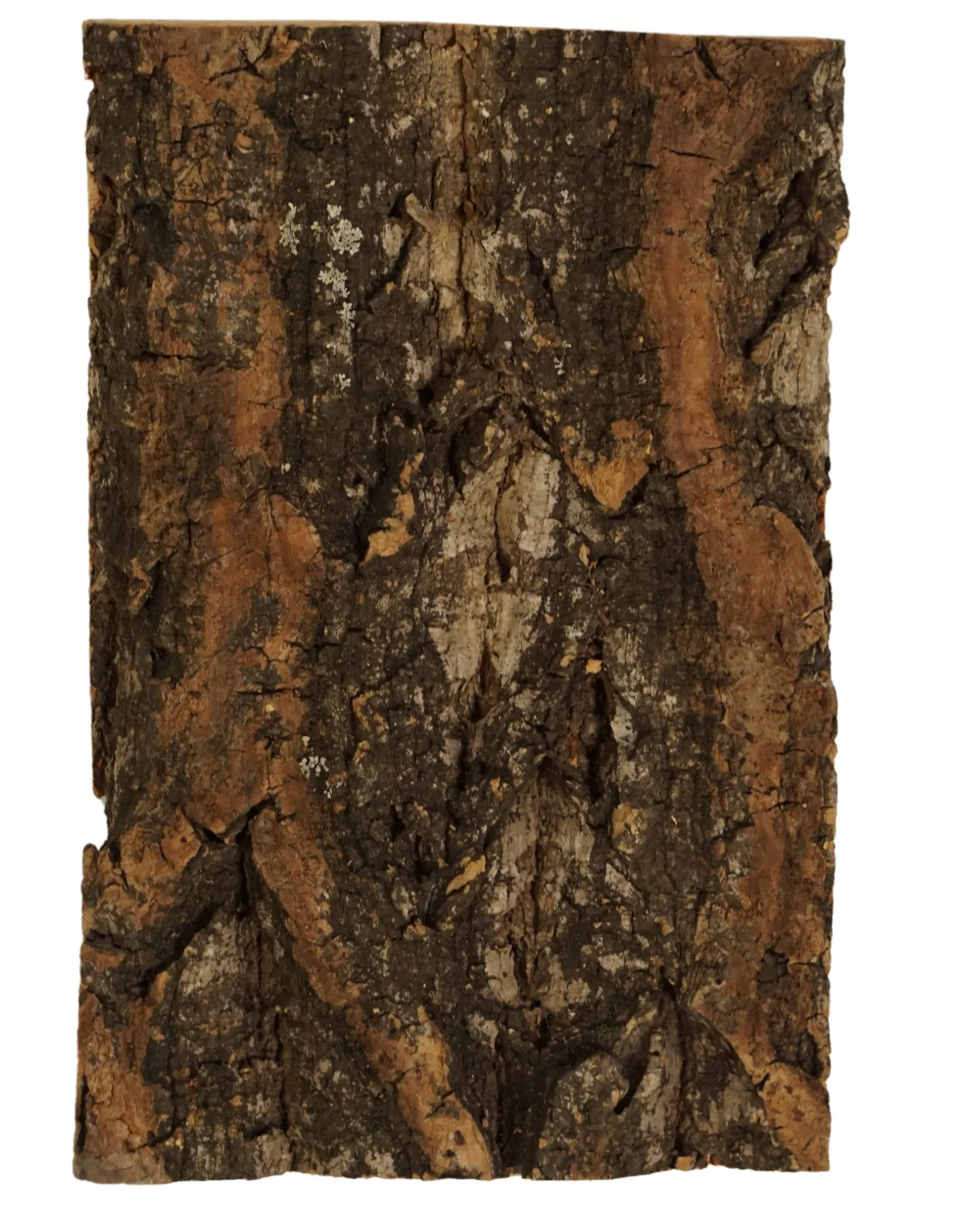 Boomschors kurk 12x18cm|ohgreen Hot