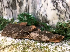 Boomschors kurk 12x18cm|ohgreen Hot