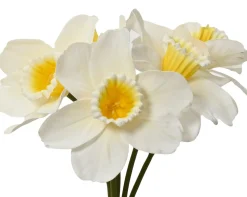 Bundel op steel|ohgreen New