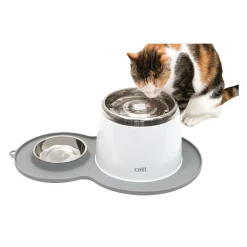 Ca 2.0 placemat pindanoot|ohgreen New