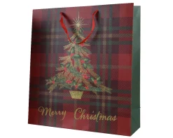 Cadeautas papier rechthoekig|ohgreen Best