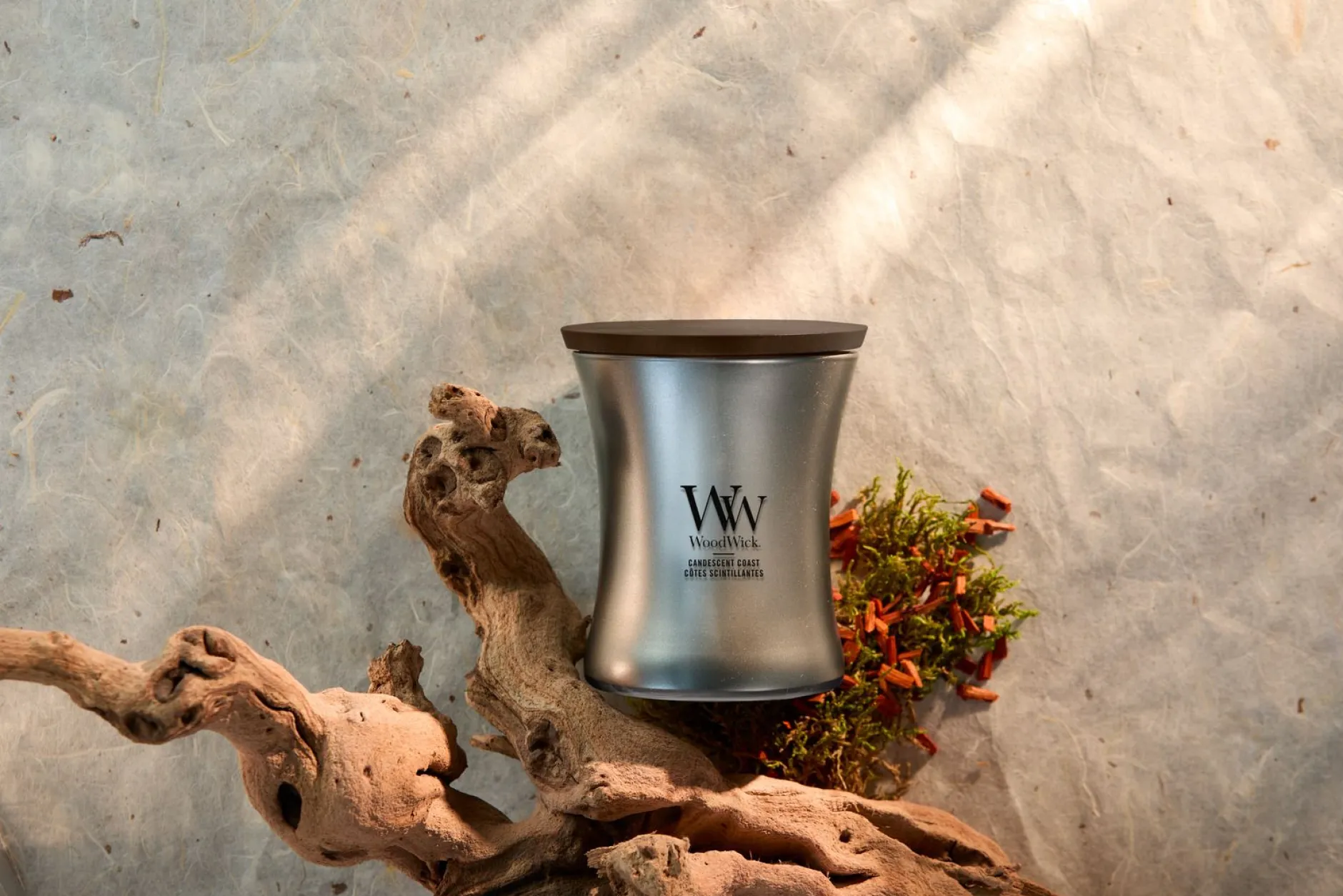 Candescent Coast|ohgreen Outlet