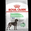 Ccn maxi digestive care 3kg|ohgreen Best