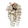 Ceropegia woodii hangend in pot - l46xb12xh10cm|ohgreen Online