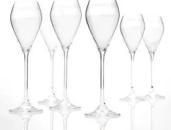 Champagneglas cuvée - set van 6|ohgreen New
