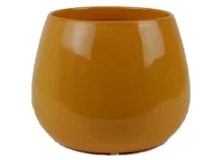 Cielo pot glans|ohgreen Online