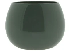 Cielo pot glans|ohgreen Clearance