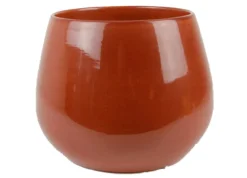 Cielo pot glans|ohgreen