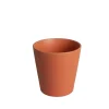 CIL.ORCH.POT D14 BASIC KORAAL|ohgreen Best
