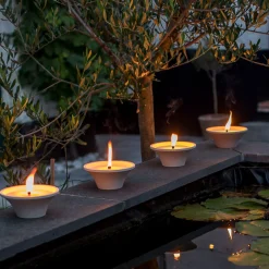 Citronellakaars in witte schaal - Asian Garden|ohgreen Best