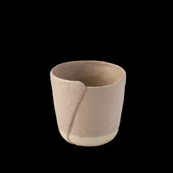 Clove Gr orch pot D16|ohgreen Outlet