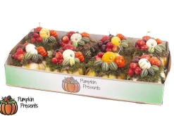 Compositie pompoen arrangement|ohgreen New