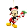 3d ornament mickey zuurstok|ohgreen Online