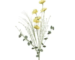 Dahlia|ohgreen Online