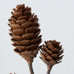 Decoratietak|ohgreen