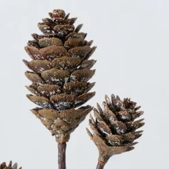 Decoratietak|ohgreen