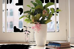 Diamond hoog 32cm|ohgreen Online