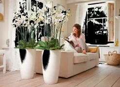 Diamond hoog 27cm|ohgreen