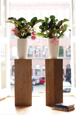 Diamond hoog 27cm|ohgreen