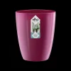 Diamond orchidee hoog 12,5cm|ohgreen Outlet
