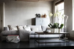 Diamond orchidee hoog 12,5cm|ohgreen Online