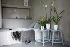 Diamond orchidee hoog 12,5cm|ohgreen Online