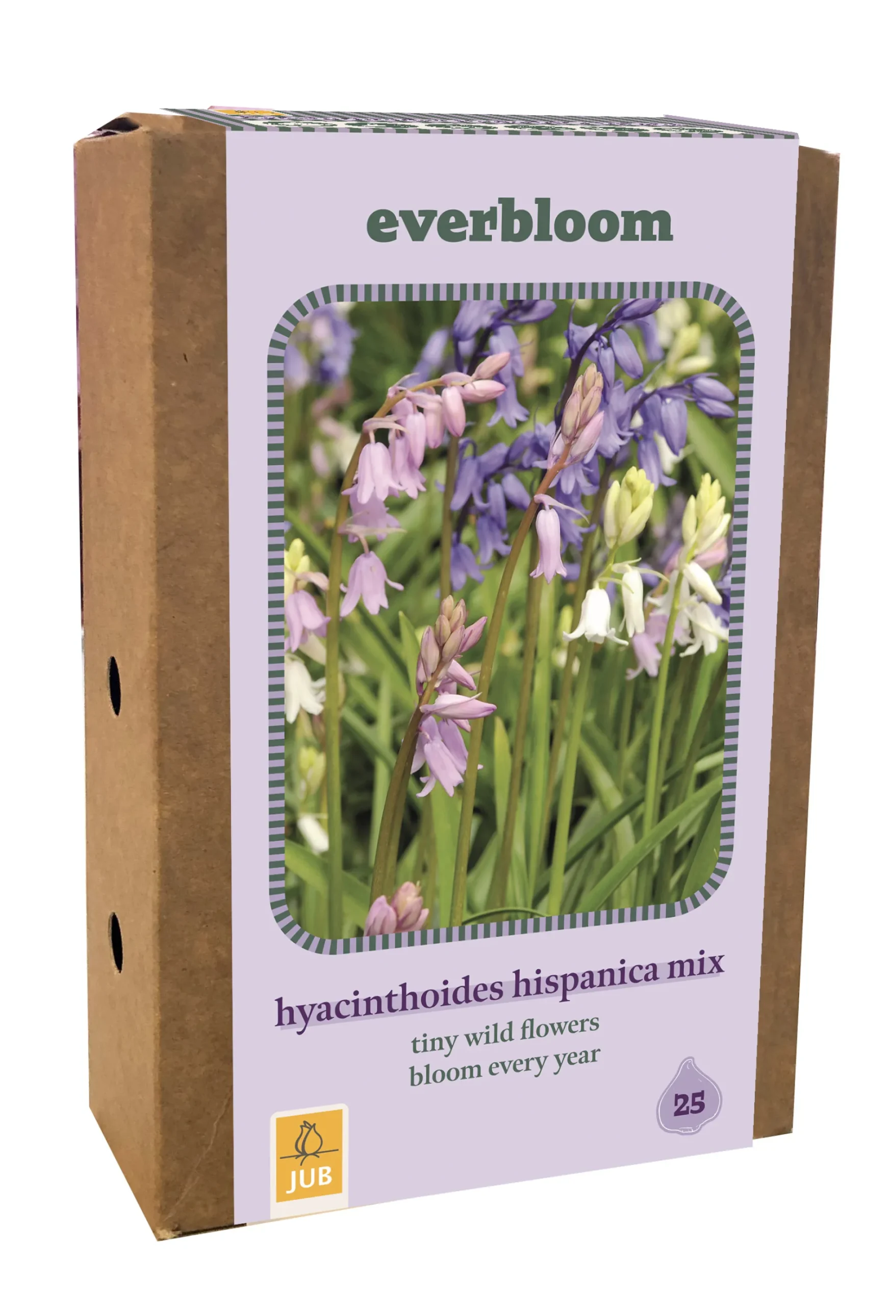 Doos 'everbloom' met 25 bloembollen hyacinthoides hisp. mix|ohgreen Clearance