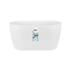 Duo orchidee 25cm|ohgreen Hot