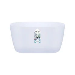 Duo orchidee 25cm|ohgreen New