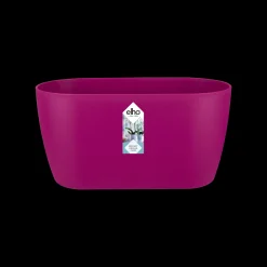 Duo orchidee 25cm|ohgreen Discount