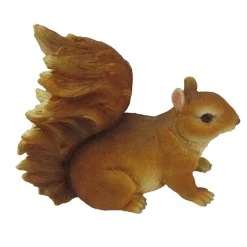 Eekhoorn|ohgreen Online