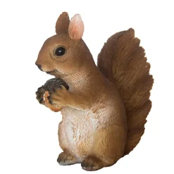 Eekhoorn zittend|ohgreen Hot