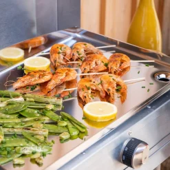 Elektrisch plancha roestvrij staal 160|ohgreen Outlet