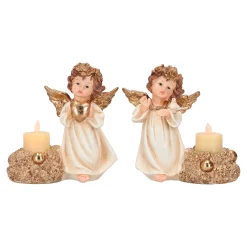 Engel|ohgreen Discount