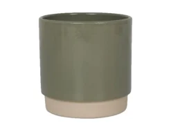 Eno potduo dusty|ohgreen Discount