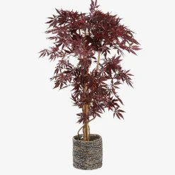 Esdoorn in plastic pot - h150xd80|ohgreen