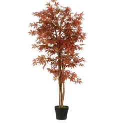 Esdoorn in pot - h165xd80|ohgreen Outlet