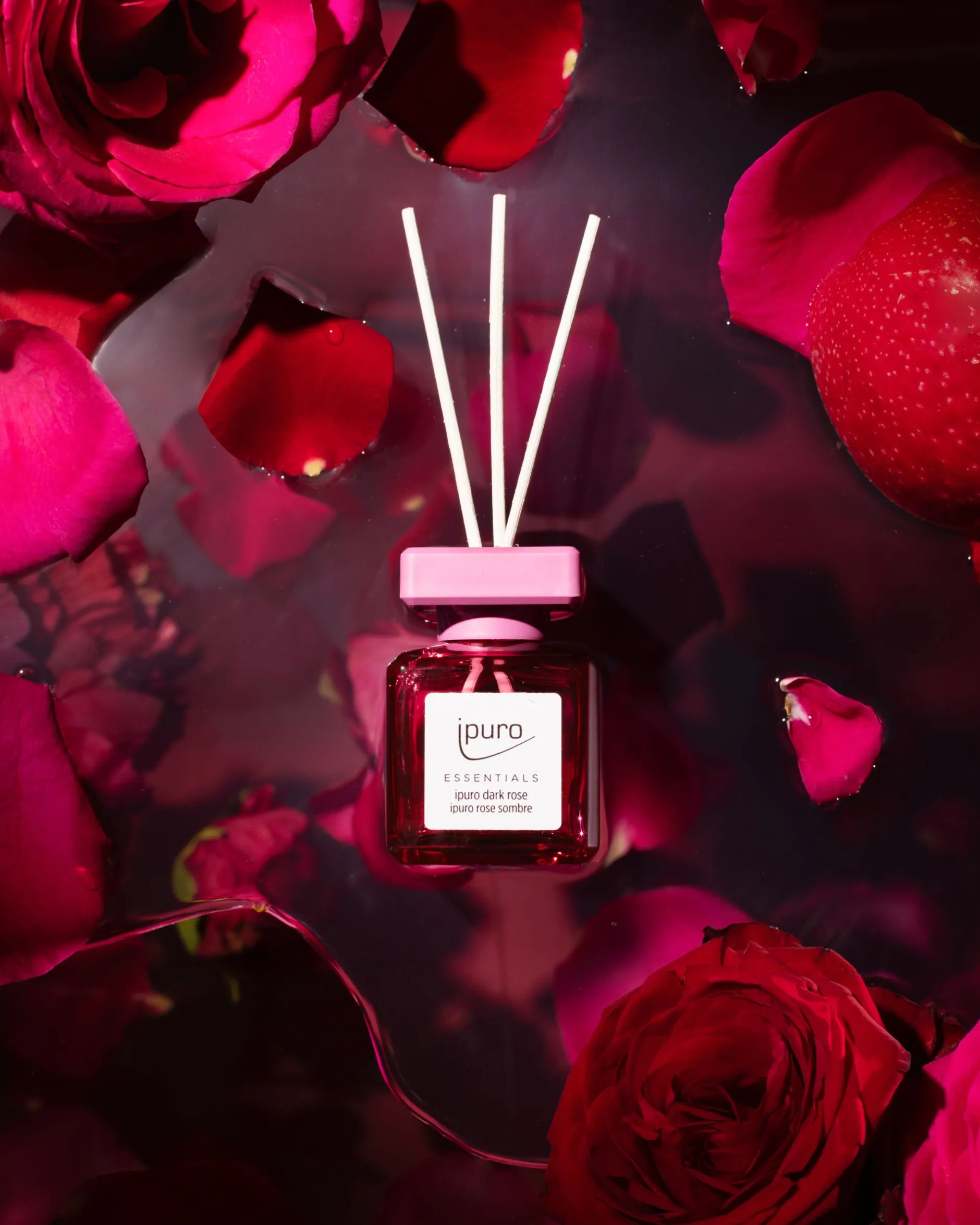 Essentials Dark Rose 50ml|ohgreen Sale