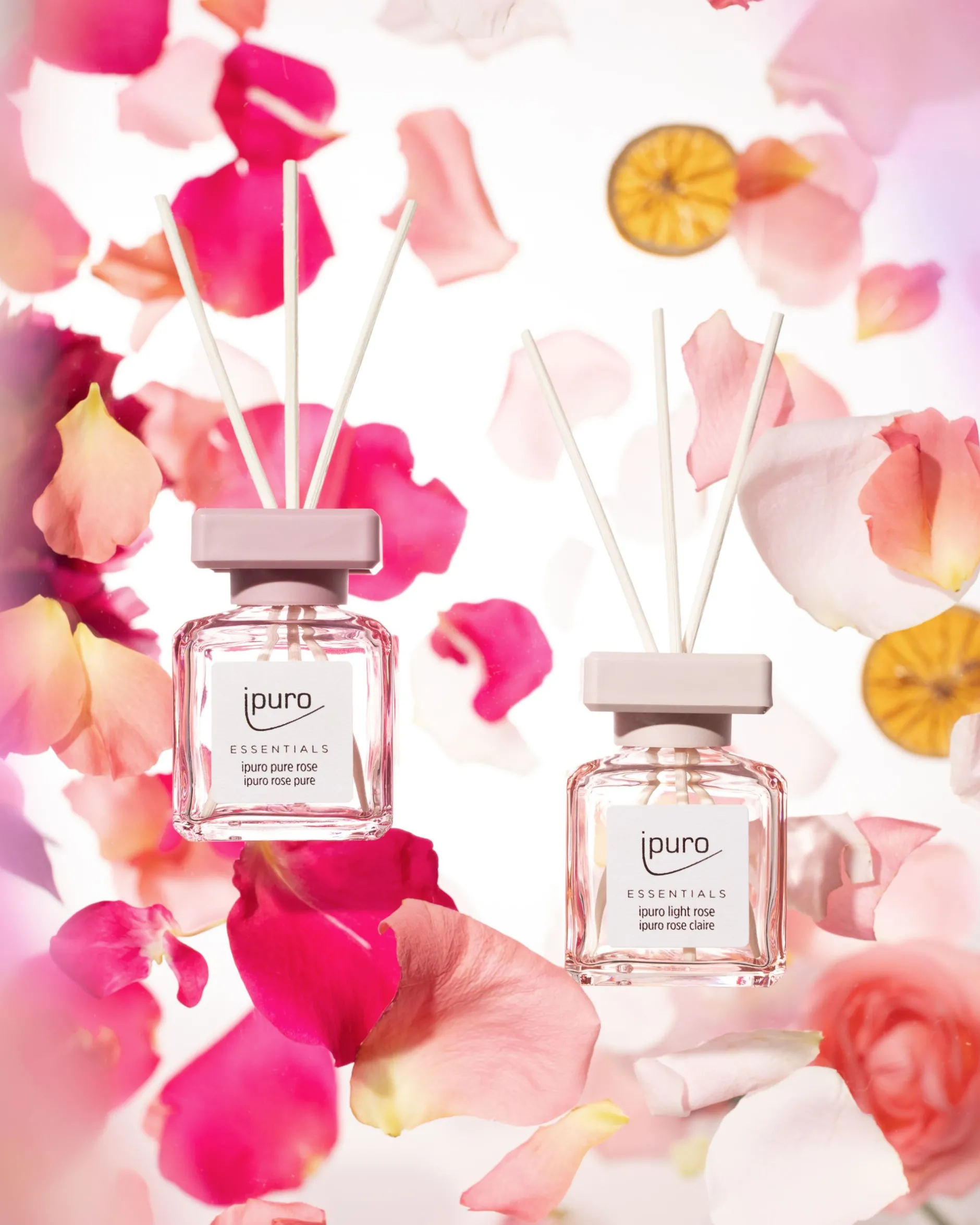 Essentials Light Rose 100ml|ohgreen Sale