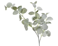 Eucalyptus polyester|ohgreen Outlet