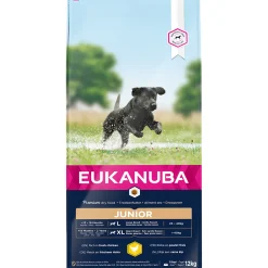 Euk dog developing junior large breed|ohgreen Discount