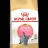 Fbn kitten british shorthair 2kg|ohgreen